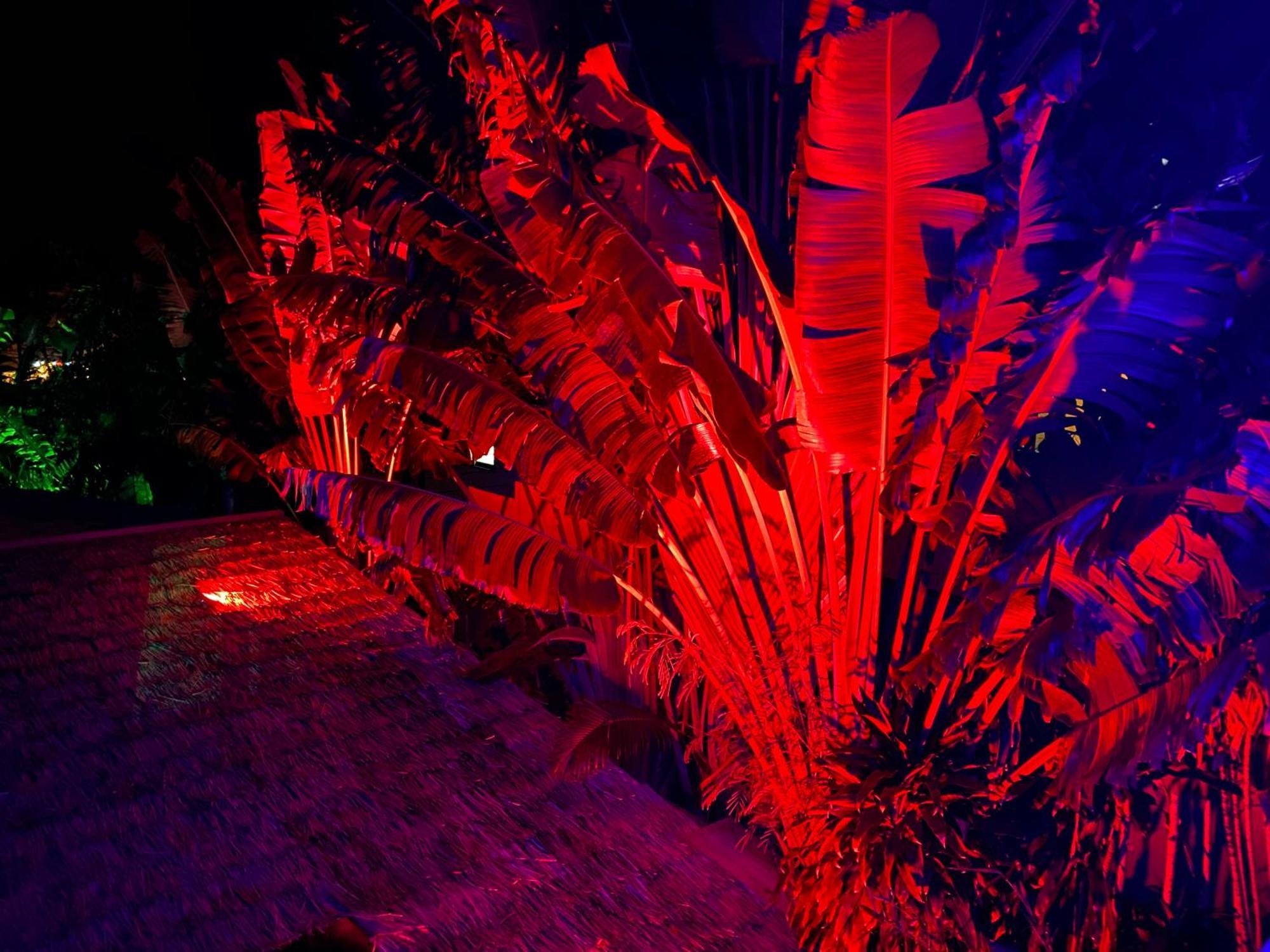 Stunning Villa With Ocean Views And Free Car Lamai Beach  Exteriör bild